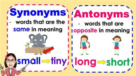 definitions and synonyms and antonyms.